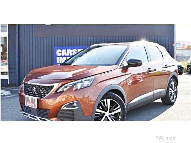 2019 Peugeot 3008