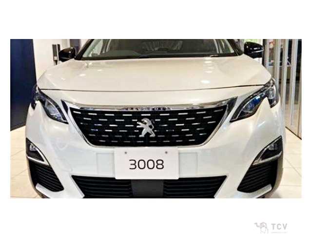 2019 Peugeot 3008