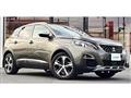 2019 Peugeot 3008