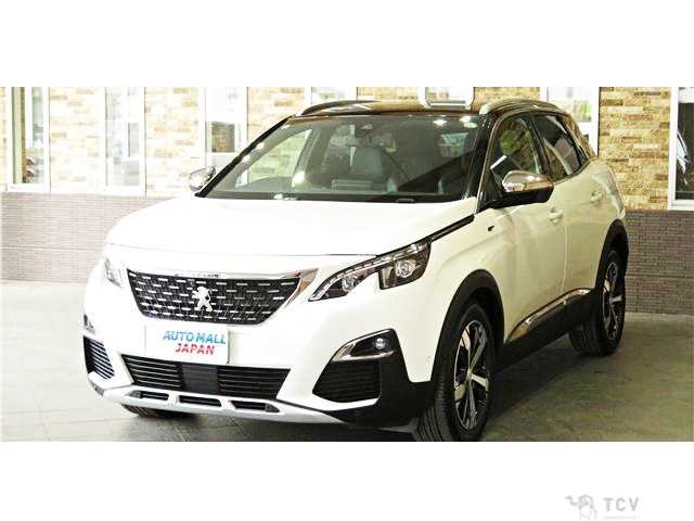2019 Peugeot 3008