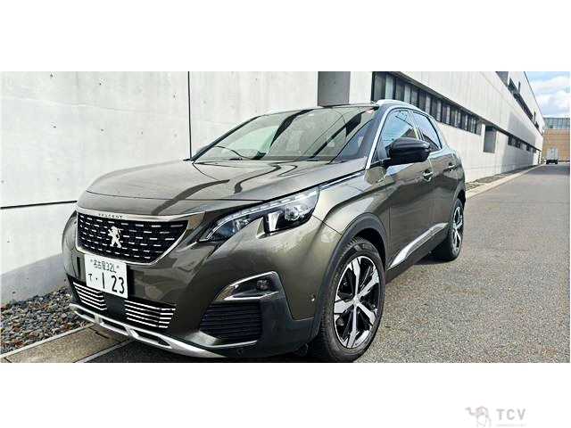 2019 Peugeot 3008