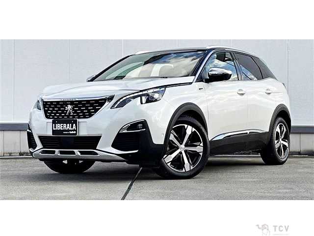 2019 Peugeot 3008