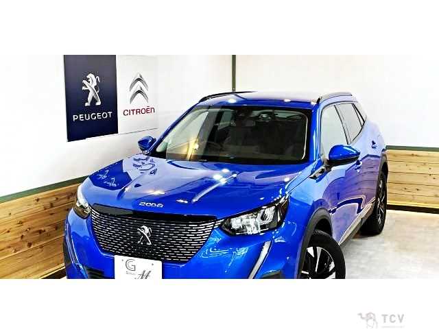 2020 Peugeot 2008