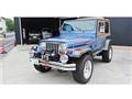 1995 Jeep Wrangler