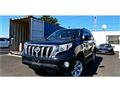 Toyota/Land Cruiser Prado