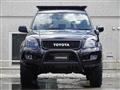 2005 Toyota Land Cruiser Prado