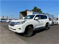 2019 Toyota Land Cruiser Prado