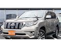 2019 Toyota Land Cruiser Prado