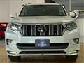 2019 Toyota Land Cruiser Prado