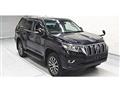 2020 Toyota Land Cruiser Prado
