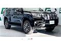 Toyota/Land Cruiser Prado