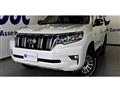 Toyota/Land Cruiser Prado