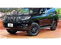 Toyota/Land Cruiser Prado