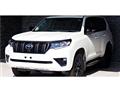 Toyota/Land Cruiser Prado