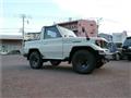1996 Toyota Land Cruiser