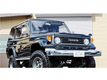 1995 Toyota Land Cruiser