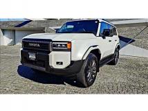 1995 Toyota Land Cruiser