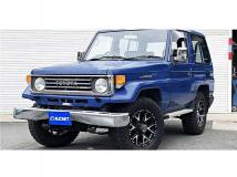 1991 Toyota Land Cruiser
