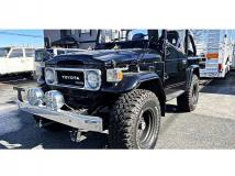 1981 Toyota Land Cruiser