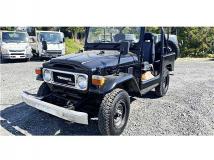 1980 Toyota Land Cruiser