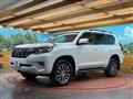 2019 Toyota Land Cruiser Prado