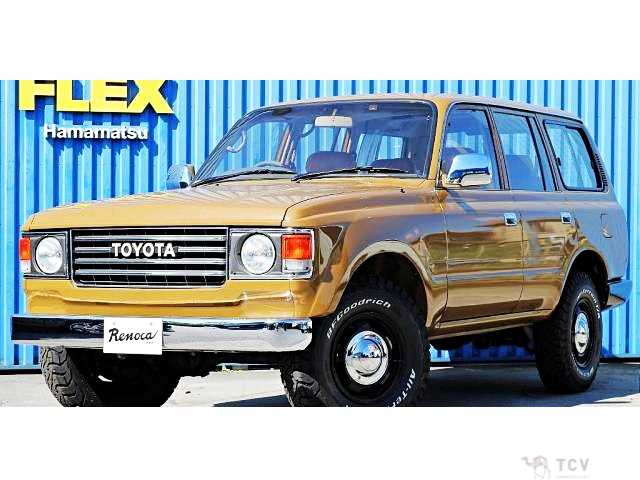 1995 Toyota Land Cruiser