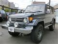 1996 Toyota Land Cruiser