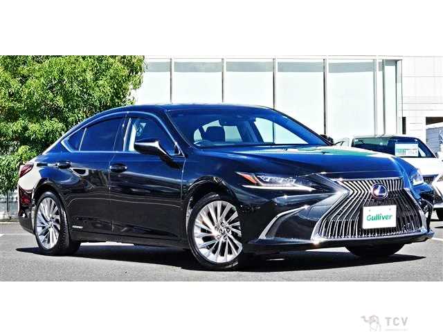 2020 Lexus ES