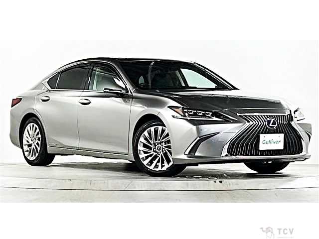 2019 Lexus ES