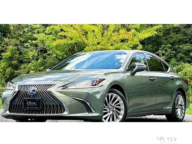 2019 Lexus ES