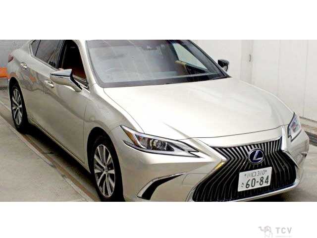 2019 Lexus ES