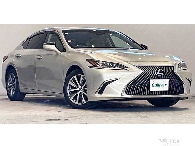 2019 Lexus ES