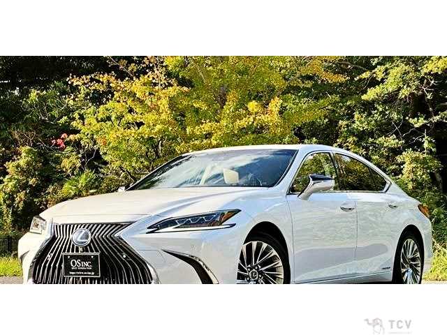 2019 Lexus ES