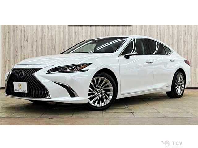 2019 Lexus ES