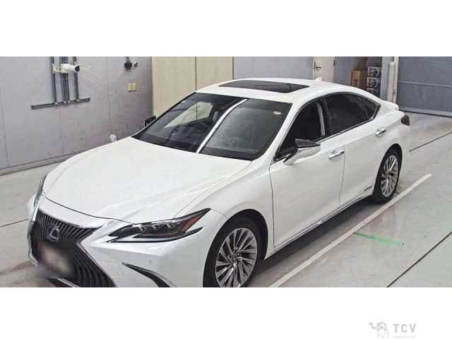 2019 Lexus ES