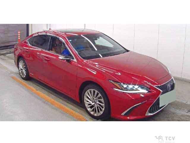 2019 Lexus ES