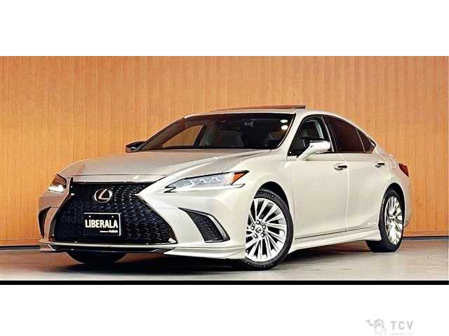 2019 Lexus ES