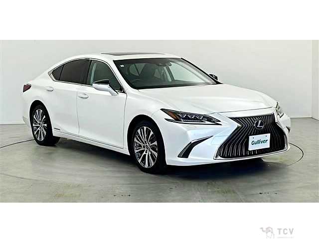 2019 Lexus ES