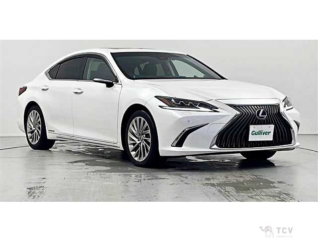2019 Lexus ES