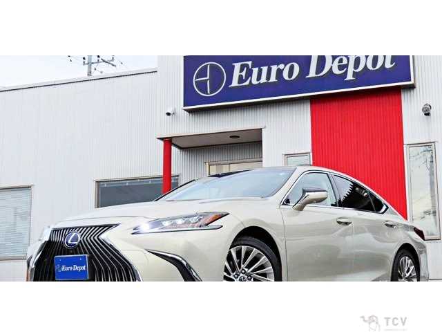2019 Lexus ES