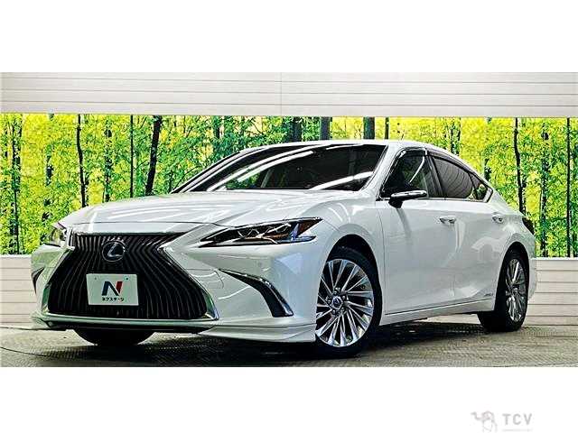 2019 Lexus ES