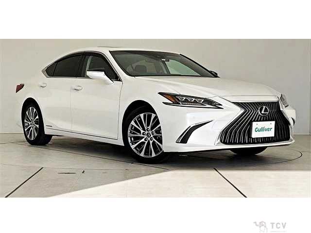 2019 Lexus ES