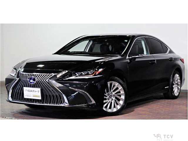 2019 Lexus ES