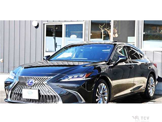2019 Lexus ES