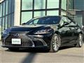 2019 Lexus ES