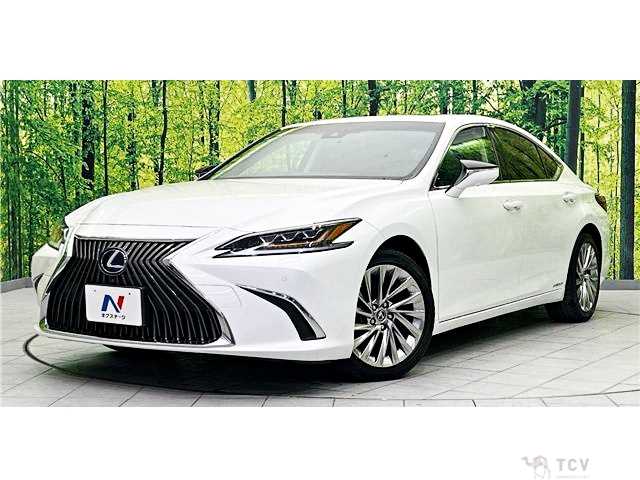 2019 Lexus ES