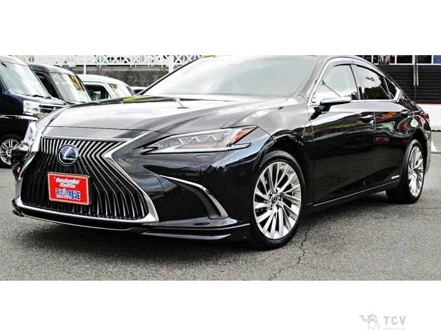 2019 Lexus ES