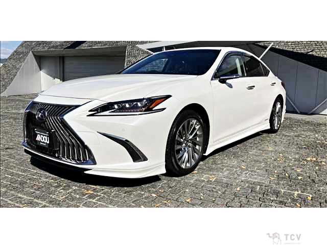 2019 Lexus ES