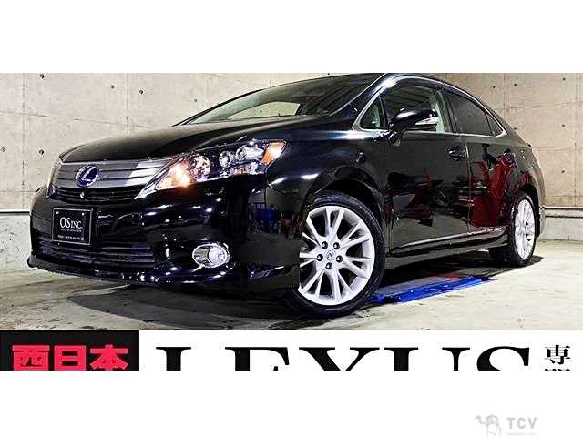 2010 Lexus HS