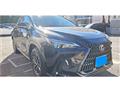 2025 Lexus NX